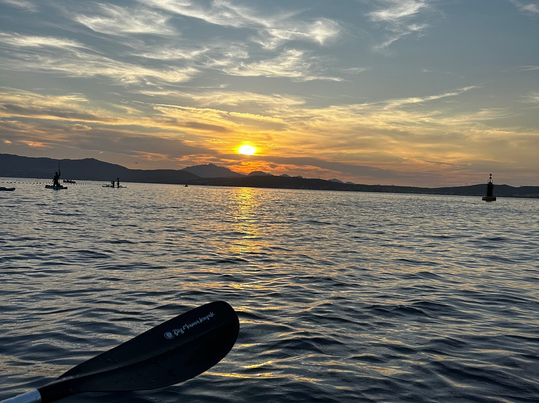 Kayak Delivery Sardegna-奥尔比亚必去景点