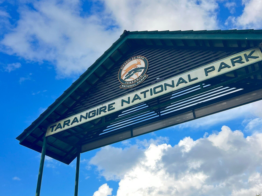 Tarangire National Park景点图片