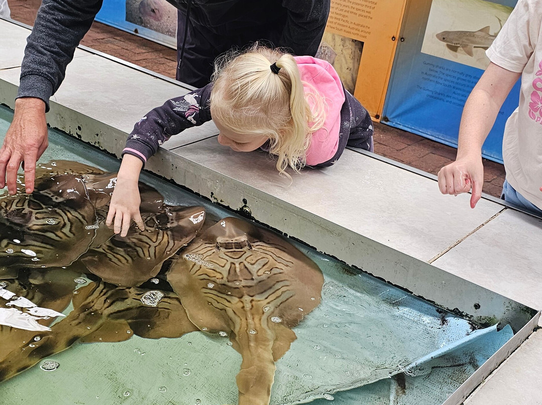 Port Stephens Animal Adventures景点图片