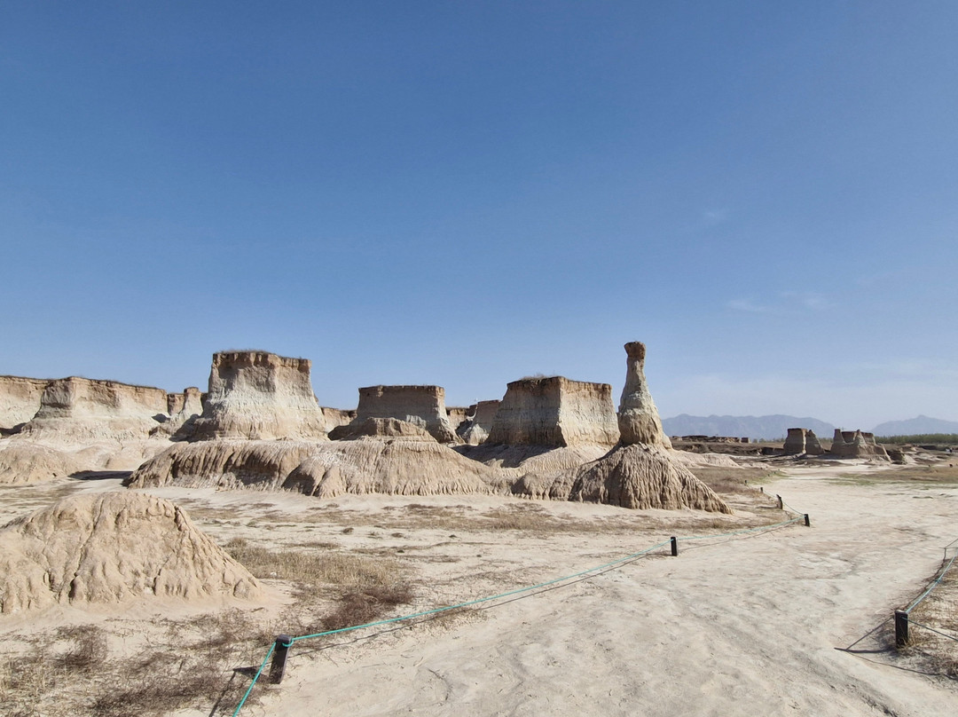 Datong Forest-大同市必去景点