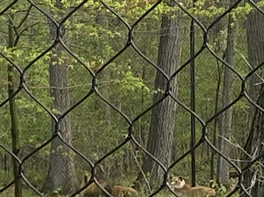 Binder Park Zoo-Battle Creek必去景点