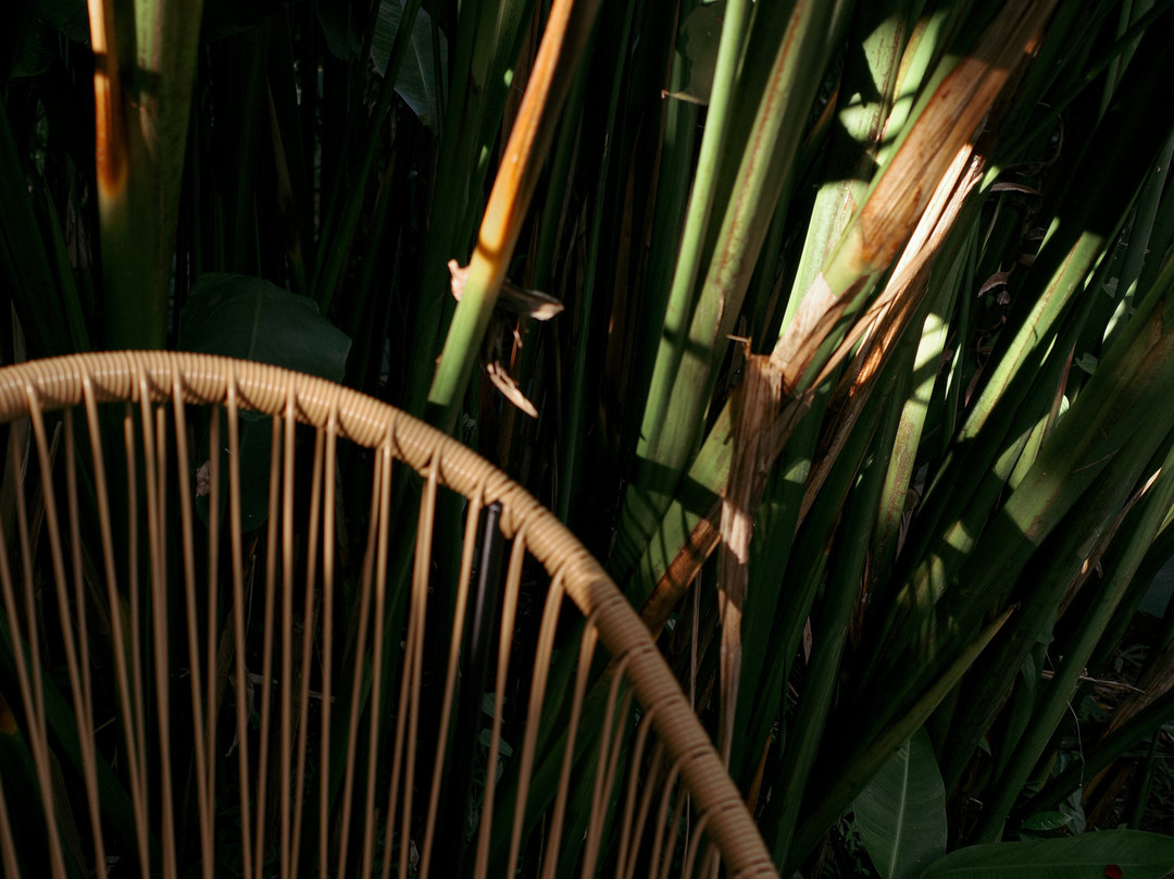 Conga Boutique Hotel主图