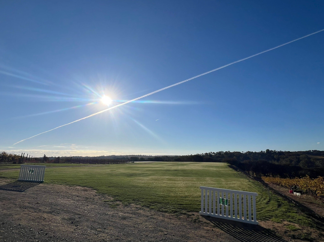 Chalk Hill Wines-麦克拉伦谷必去景点