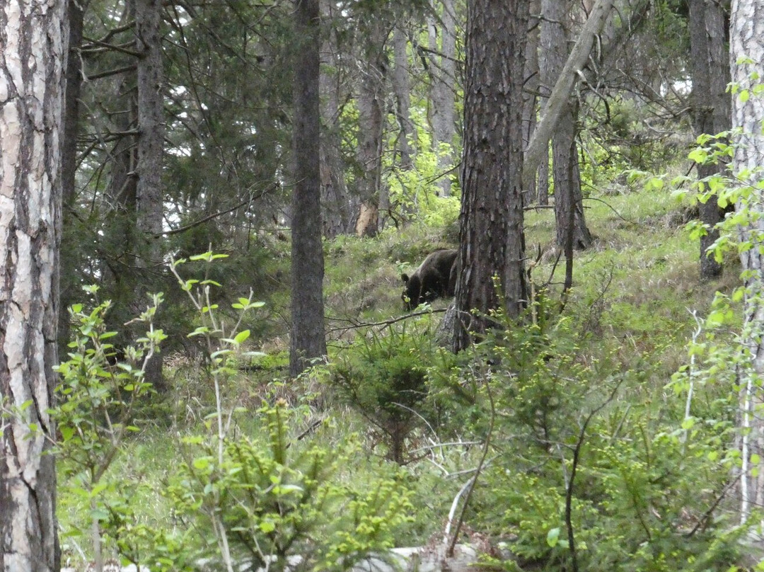 Slovak Wildlife Society-Liptovsky Hradok必去景点