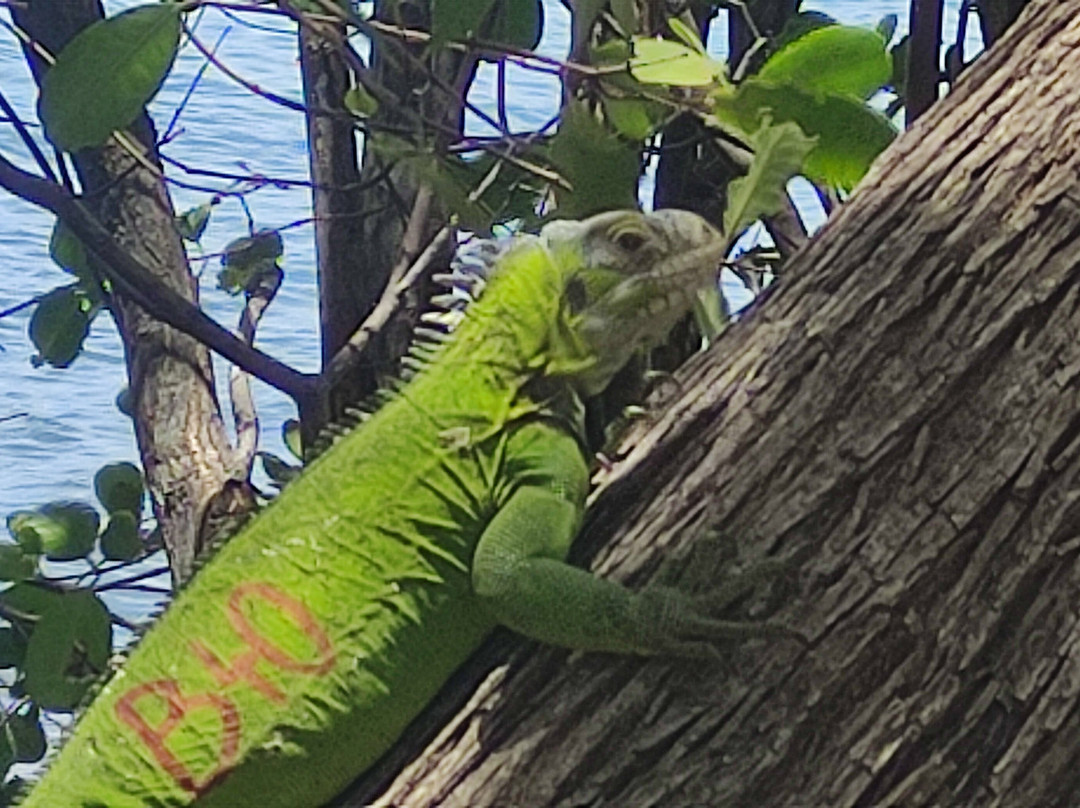 La Colombe-Tartane必去景点