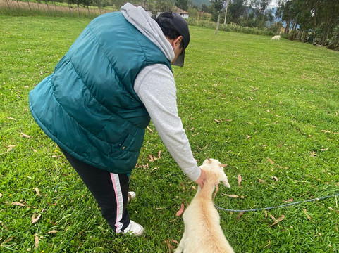 Instinto Ecuador Tours-基多必去景点