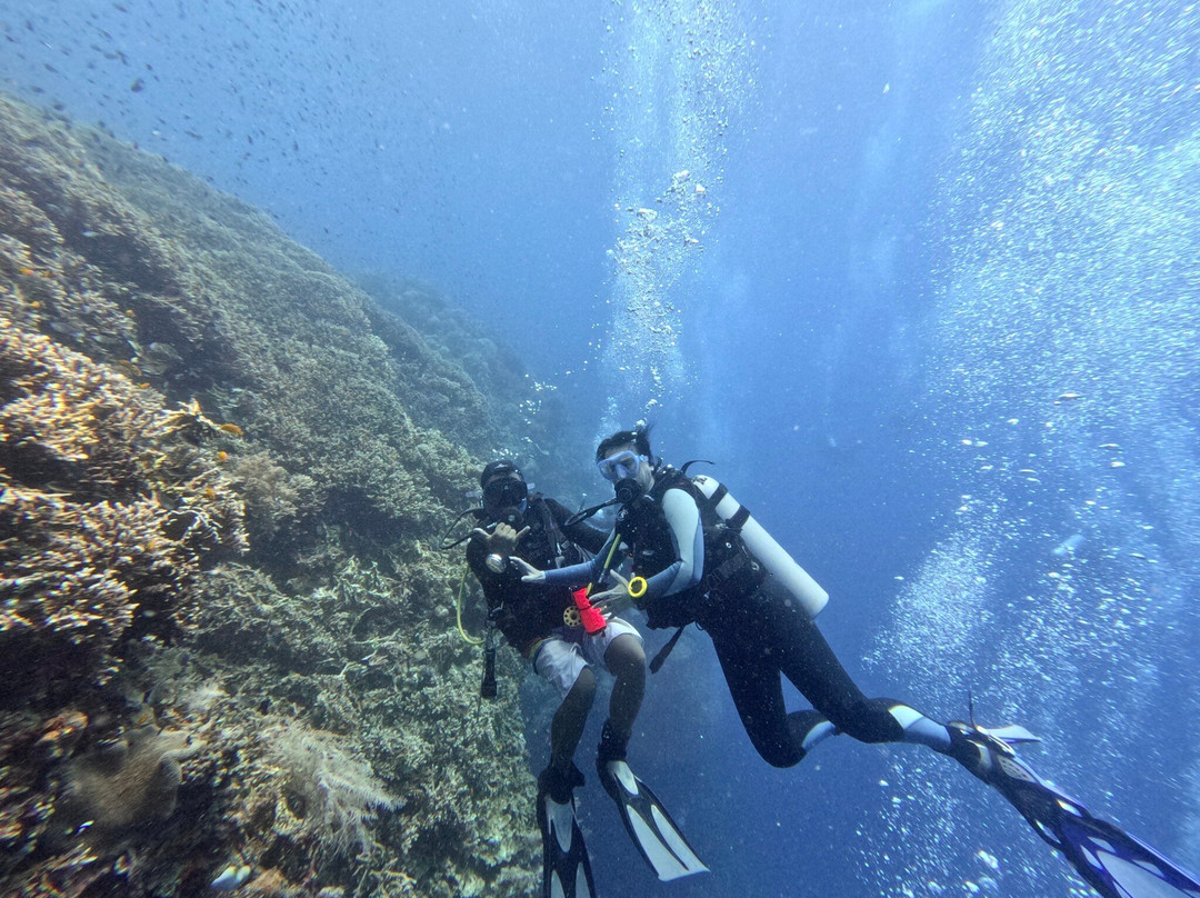 Haka Dive Center-Panglao必去景点