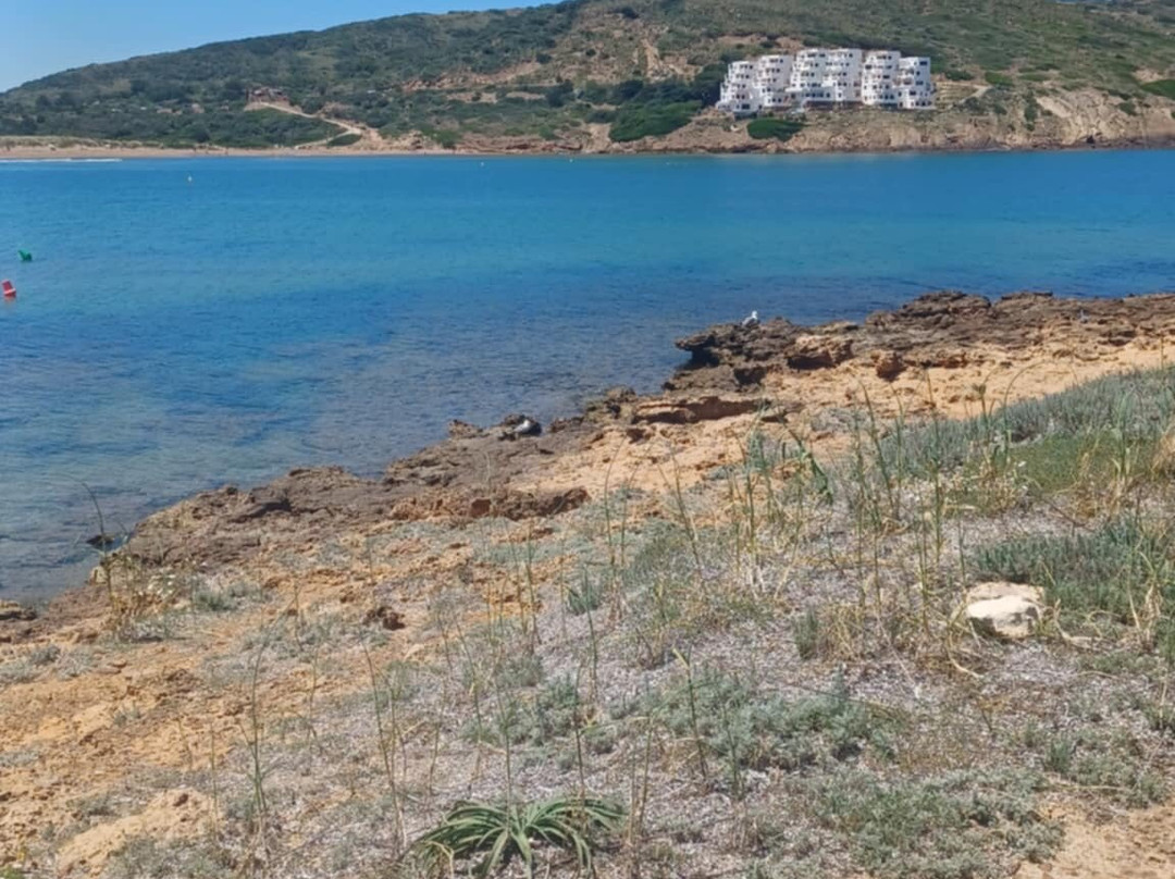Cala Tirant-Fornells必去景点