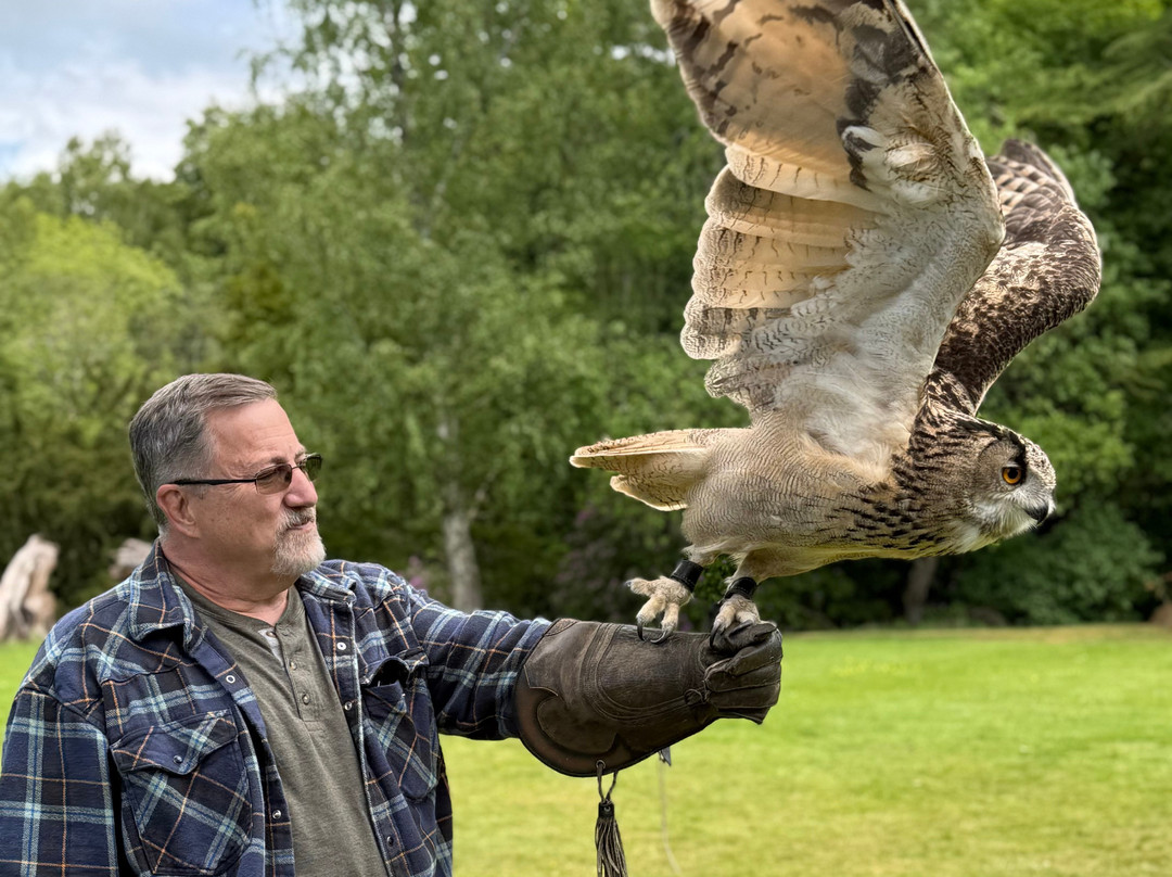 Dalhousie Castle Falconry景点图片