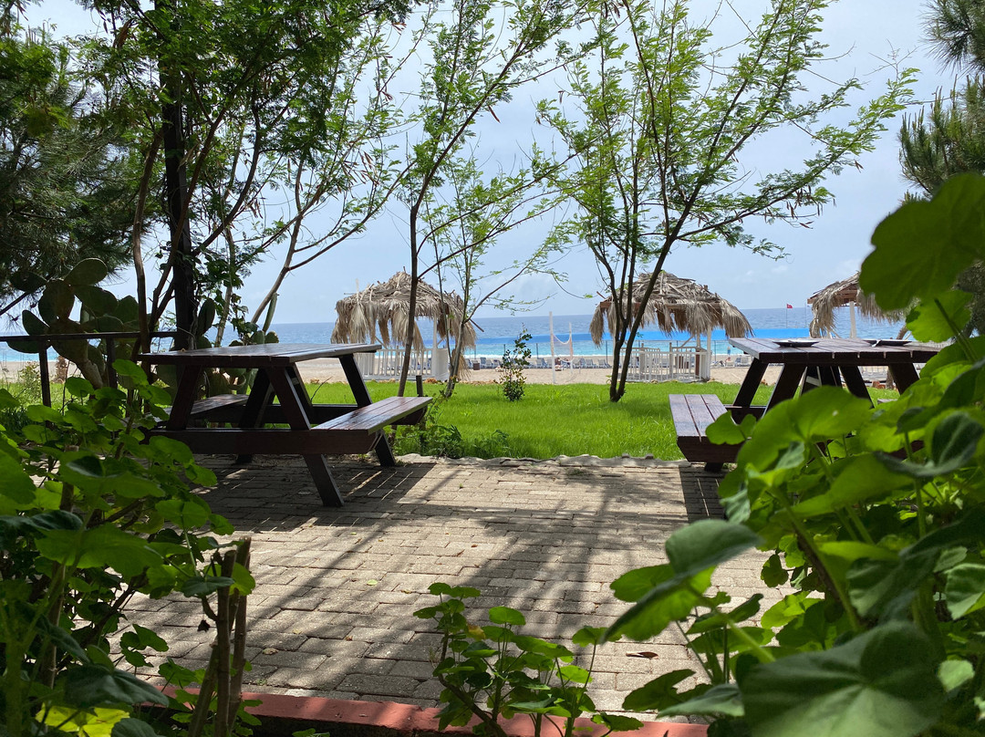 Cenger Beach Resort & Spa主图