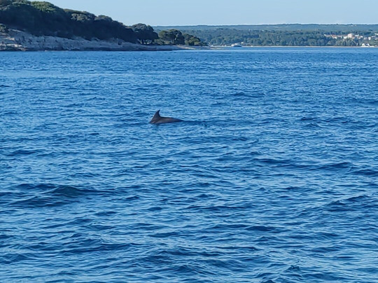 Pula Boat Tours Adventures-普拉必去景点