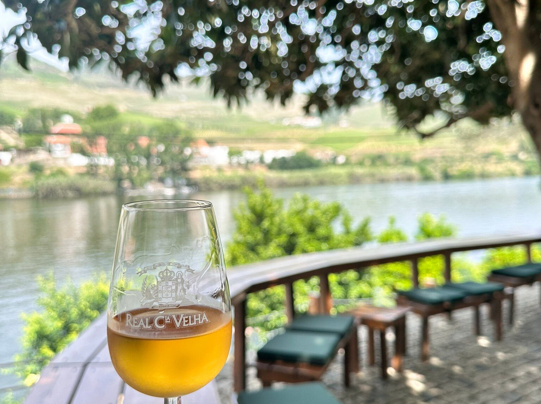 Quinta das Carvalhas景点图片
