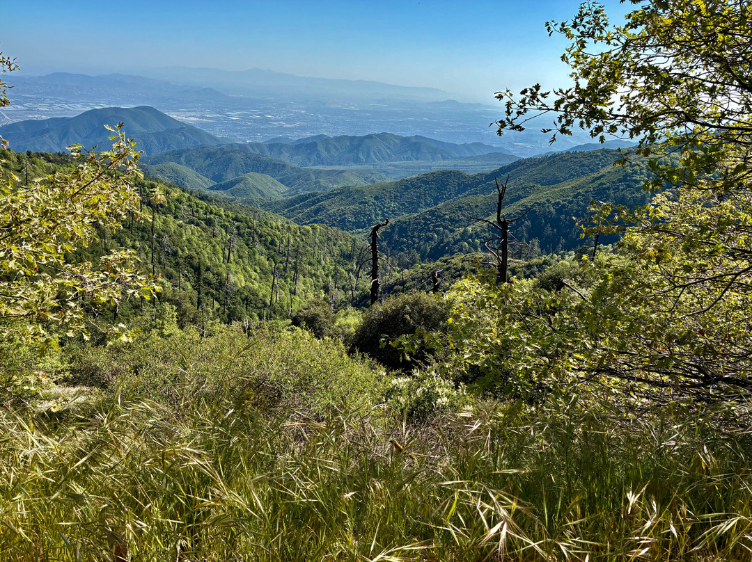 The Sky View Inn主图