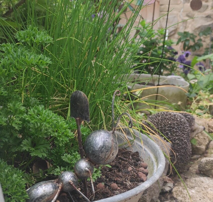 Domaine De La Fee-Licite主图