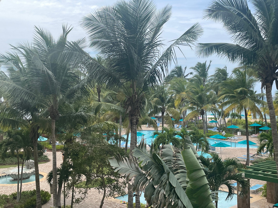 哈西恩德戴尔马尔凯悦酒店主图