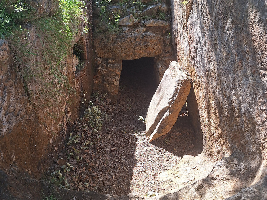 Late Minoan Tholos Tomb景点图片