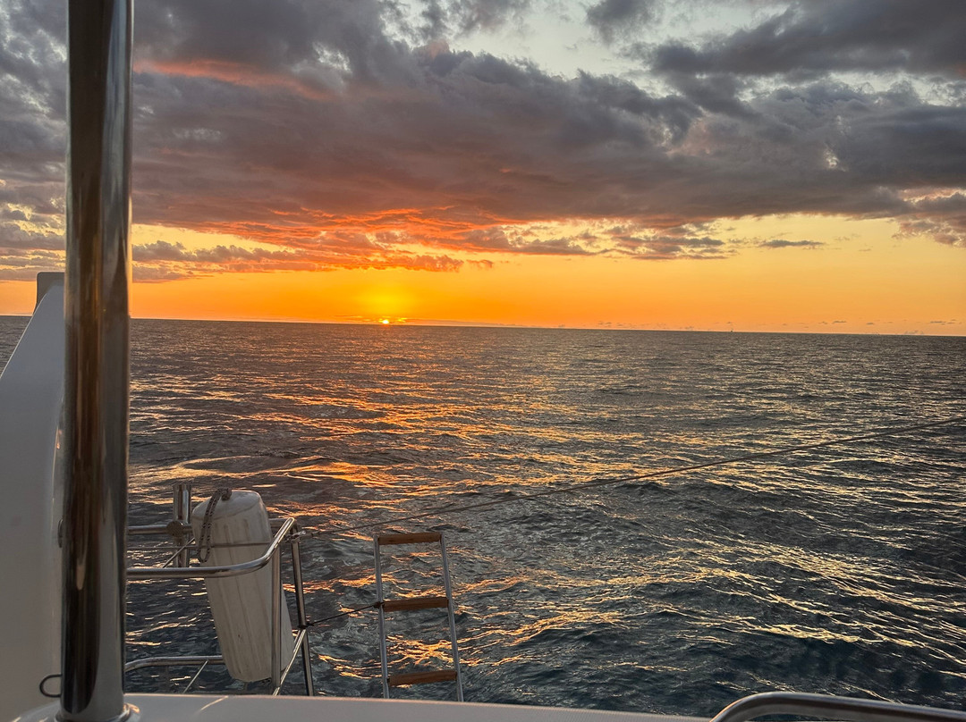 Mana Cruises + Charters-Ko Olina必去景点