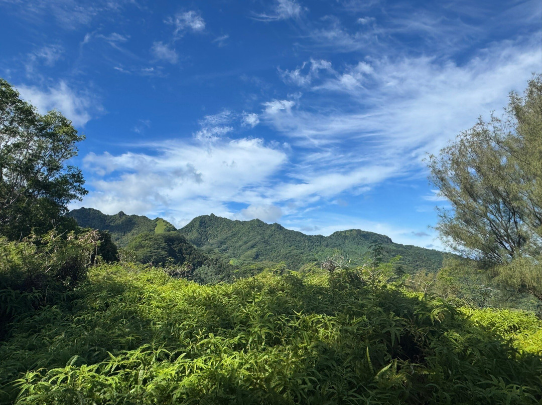 Hospital Hill Lookout-拉罗汤加必去景点