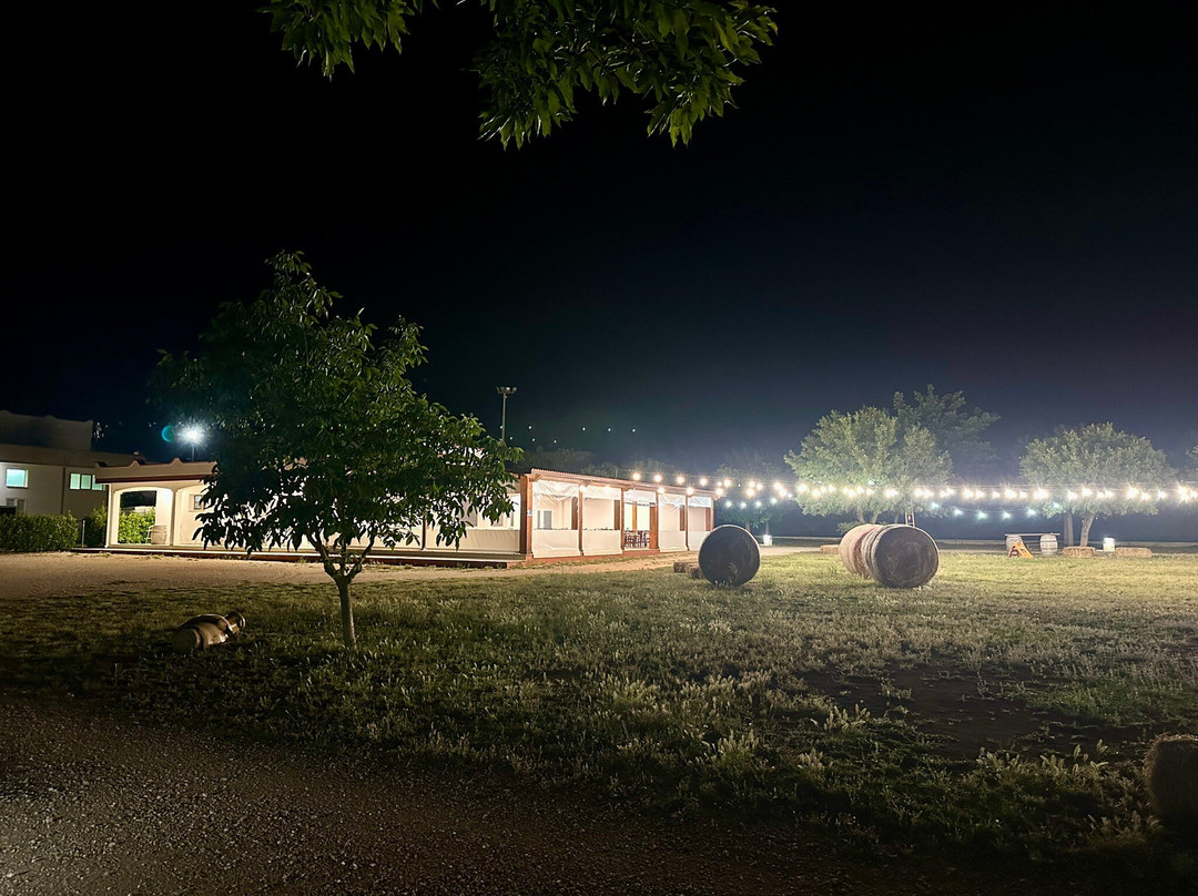 Azienda Agricola Melillo景点图片