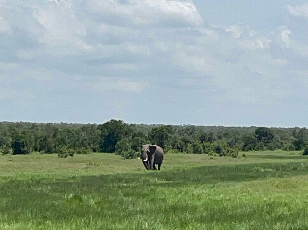 Sailepu Safari Adventures-南由基必去景点