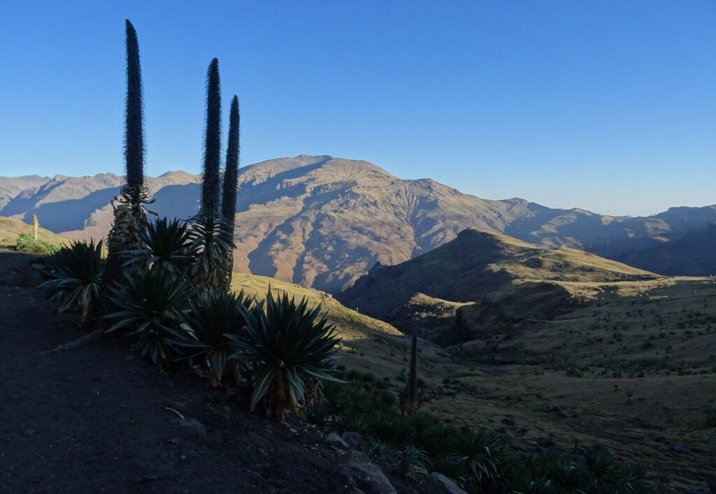 Simien Tour Guide-贡德尔必去景点