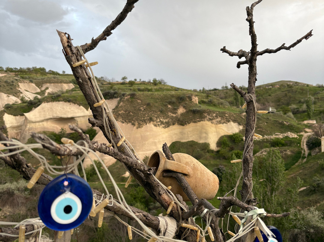 Valley Inn Cave Hotel主图