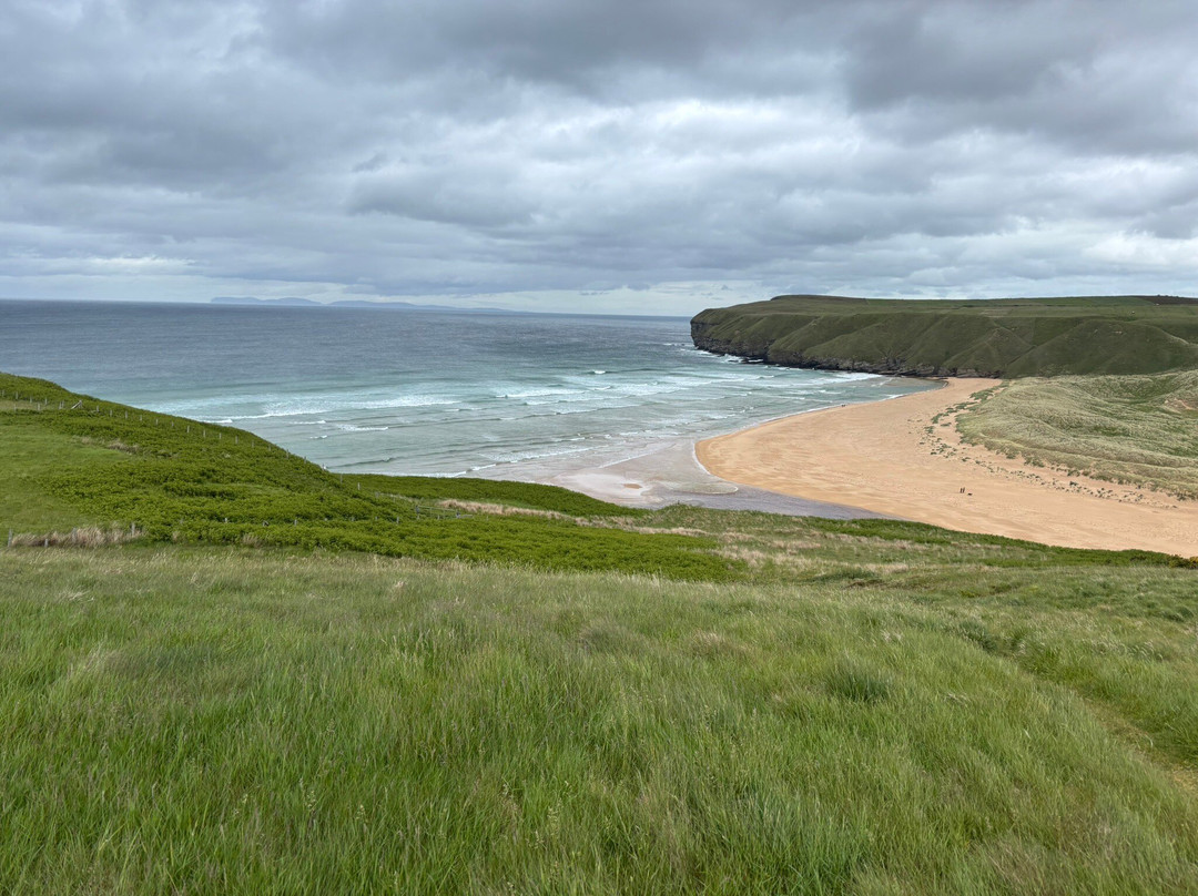 Strathy Bay Pods