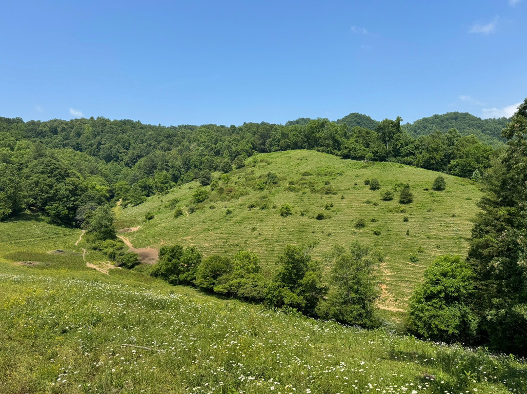 Smoky Mountain Trail Rides and Bison Farm景点图片