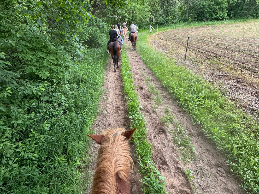 Red Ridge Riding Stable景点图片
