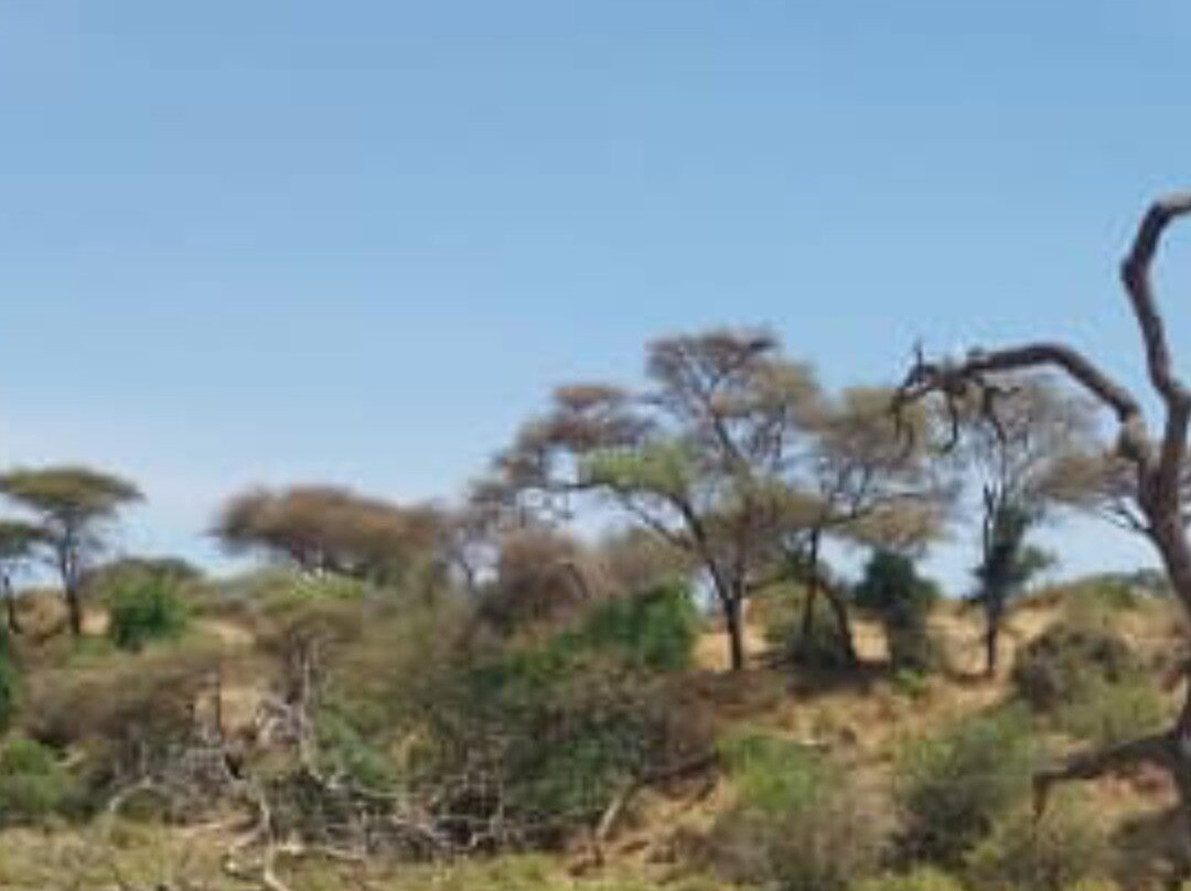 2 Days and 1 Night Amboseli Safari from Nairobi-Karen必去景点