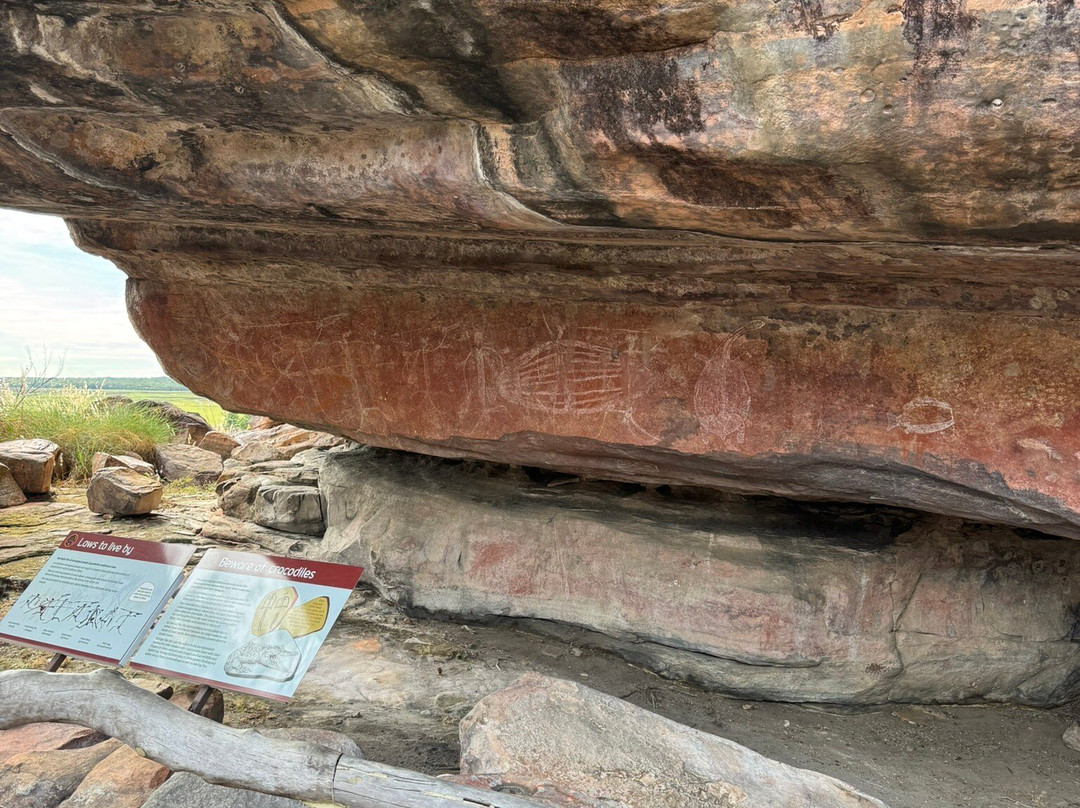 Autopia Tours-爱丽斯泉必去景点