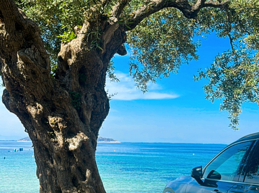 Villa Teresa Luxury Suites主图