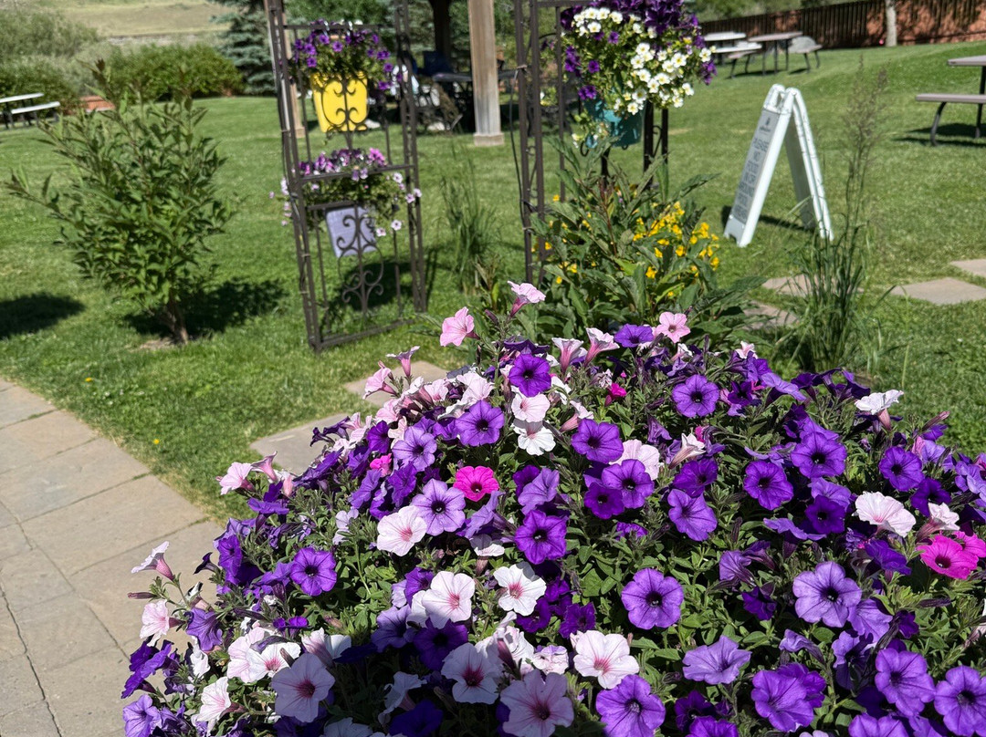 Yellowstone Hot Springs-加德纳必去景点