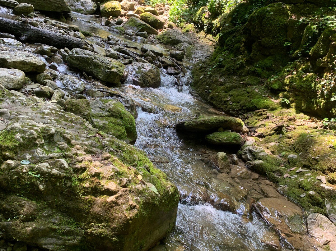 Large Kaverzinsky Waterfall景点图片