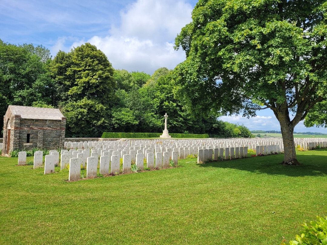 Ulster Memorial Tower & Thiepval Wood景点图片