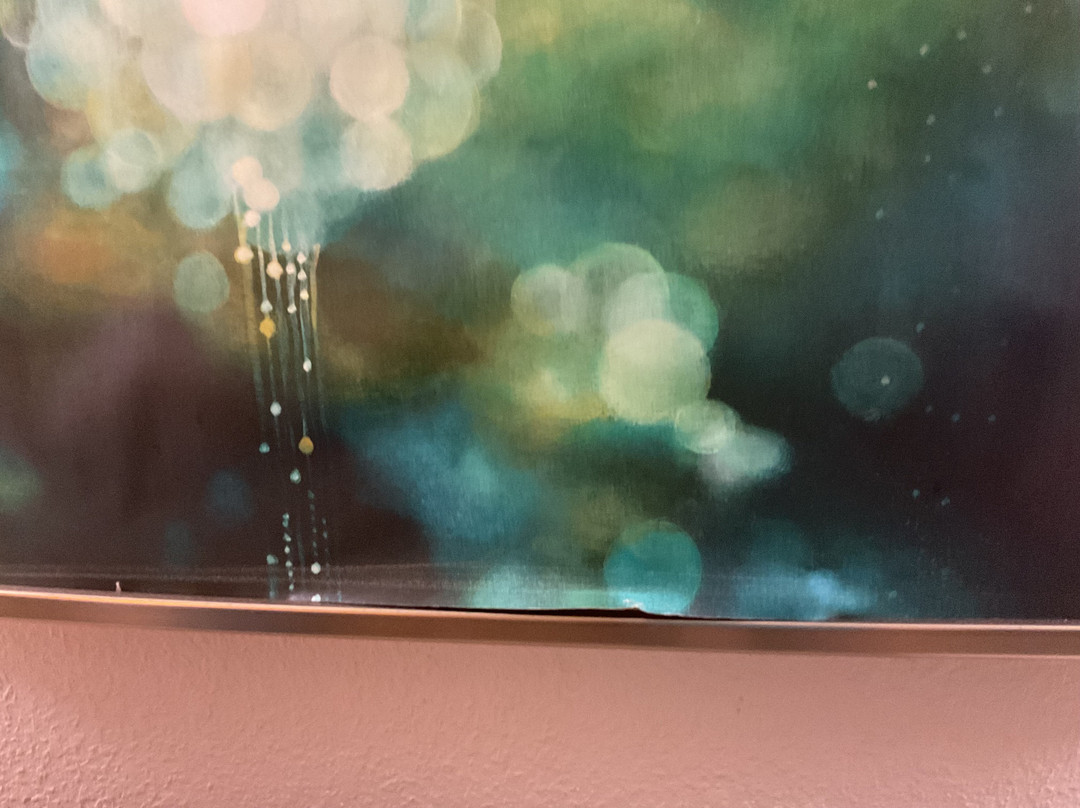 Hyatt Place Fort Lauderdale / Plantation主图