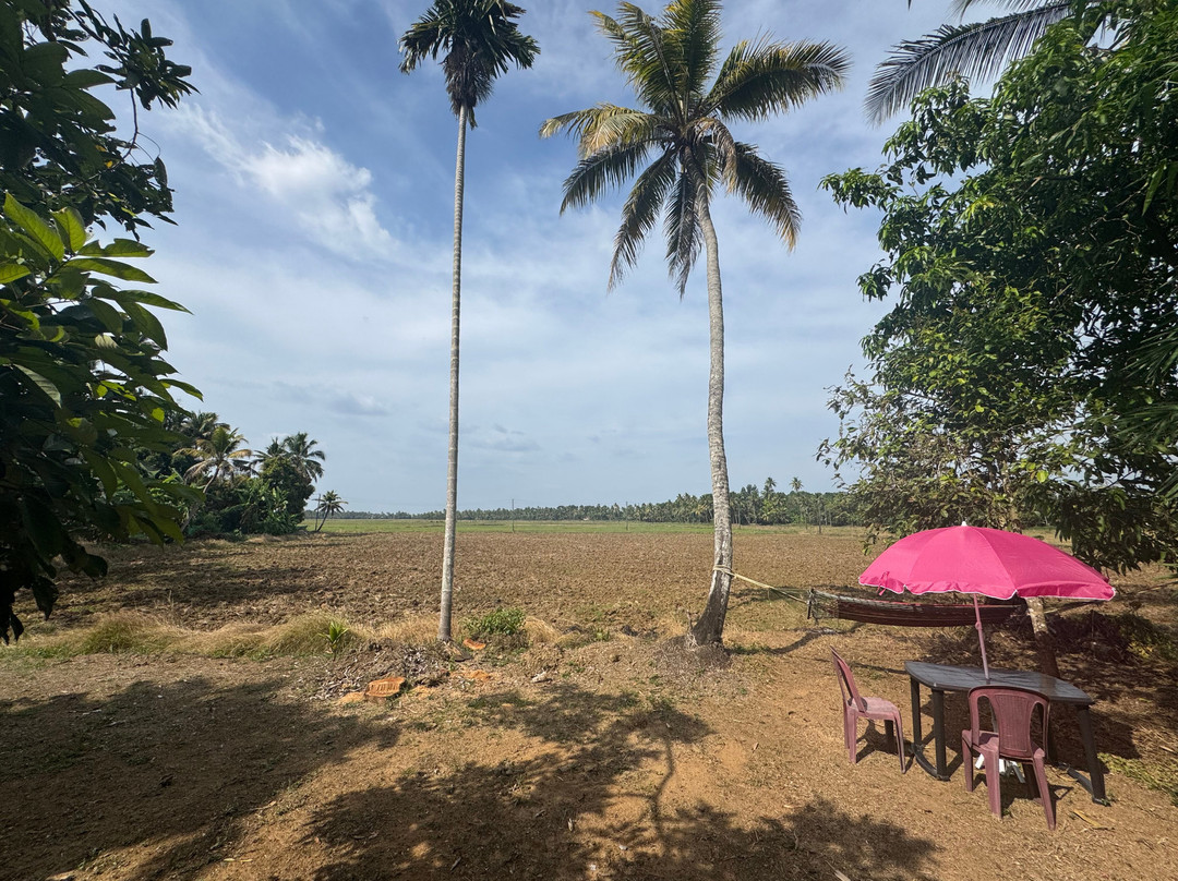 Gk's Riverview Homestay主图