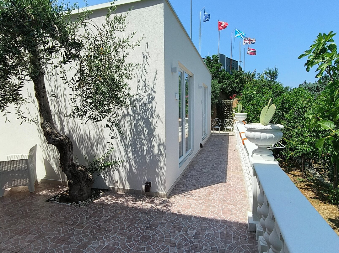 帕西菲卡别墅民宿主图