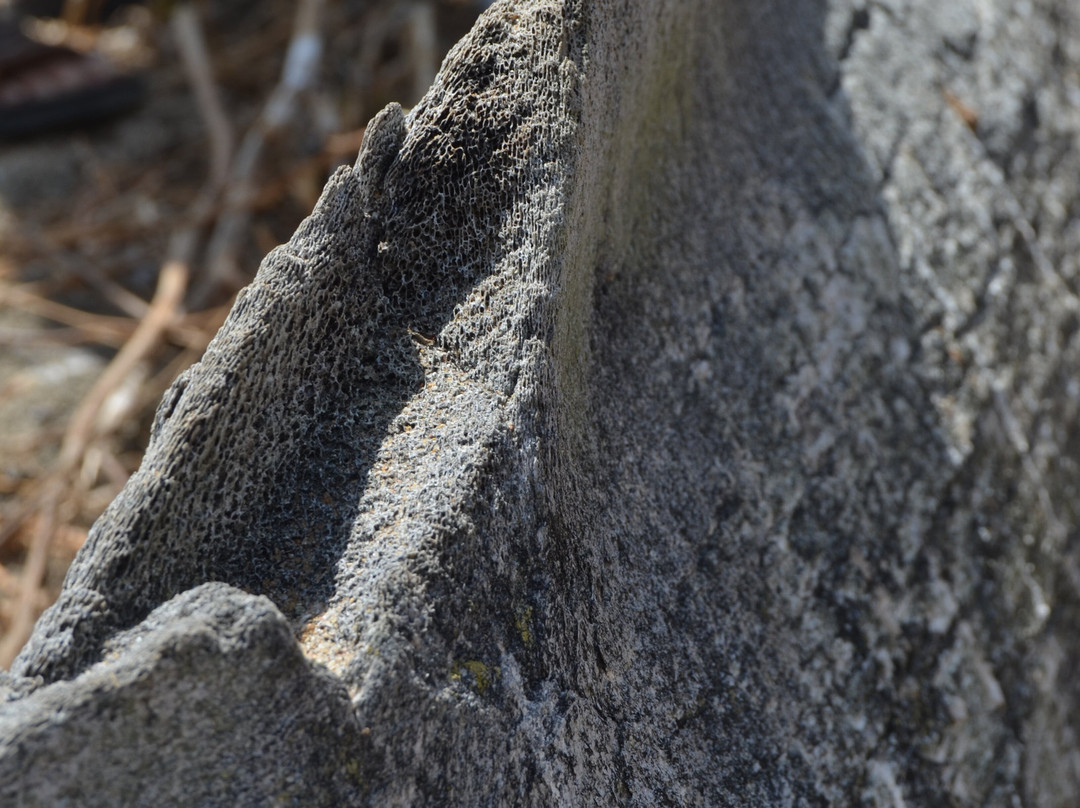 Ilha do Pessegueiro-Porto Covo必去景点