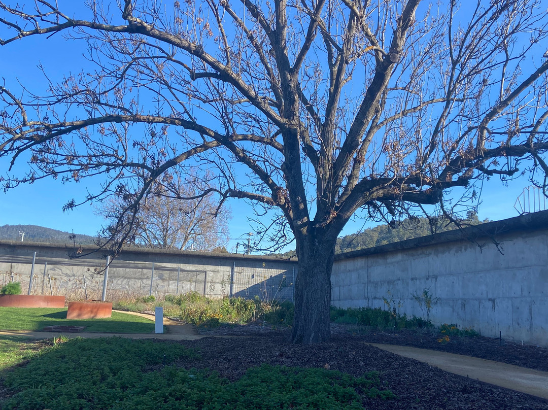 Willow Court Asylum-New Norfolk必去景点