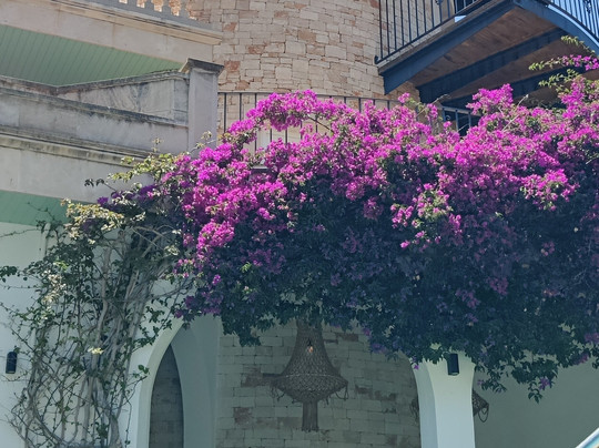 Villa Piccola - Apartments主图