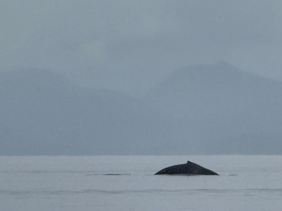 Ketchikan Chrome-凯奇坎必去景点