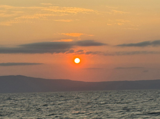 Magia 2-科莫多必去景点