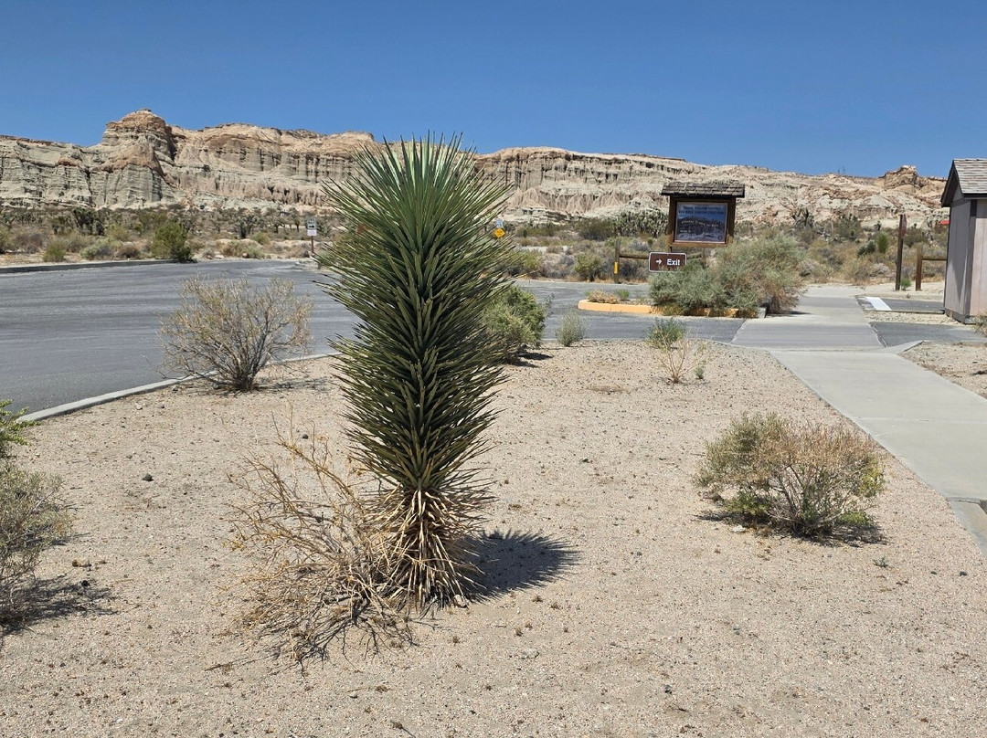 Red Rock Canyon State Park-Cantil必去景点