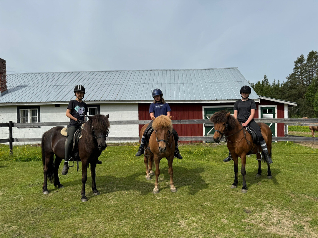 Horses of Taiga-Svansele必去景点