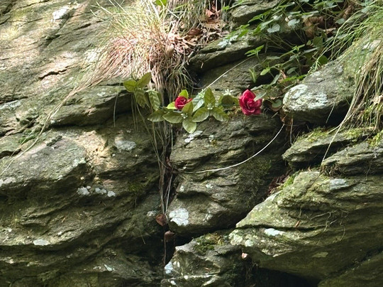 Rifugio Pratorotondo主图