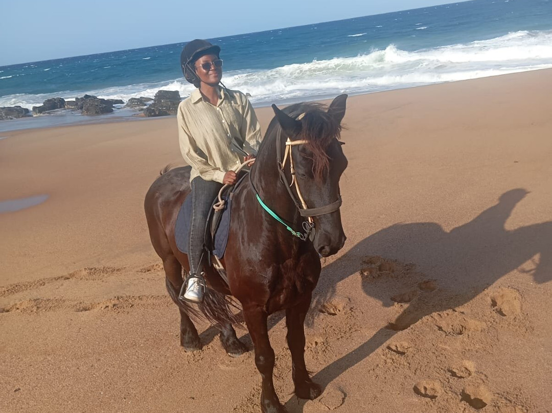 Gary's Horses-德班必去景点