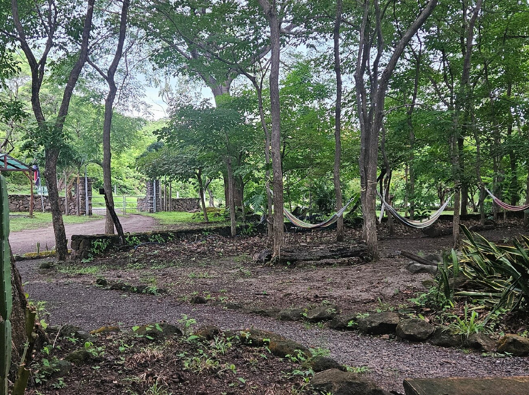 Hotel Luna del Llano主图