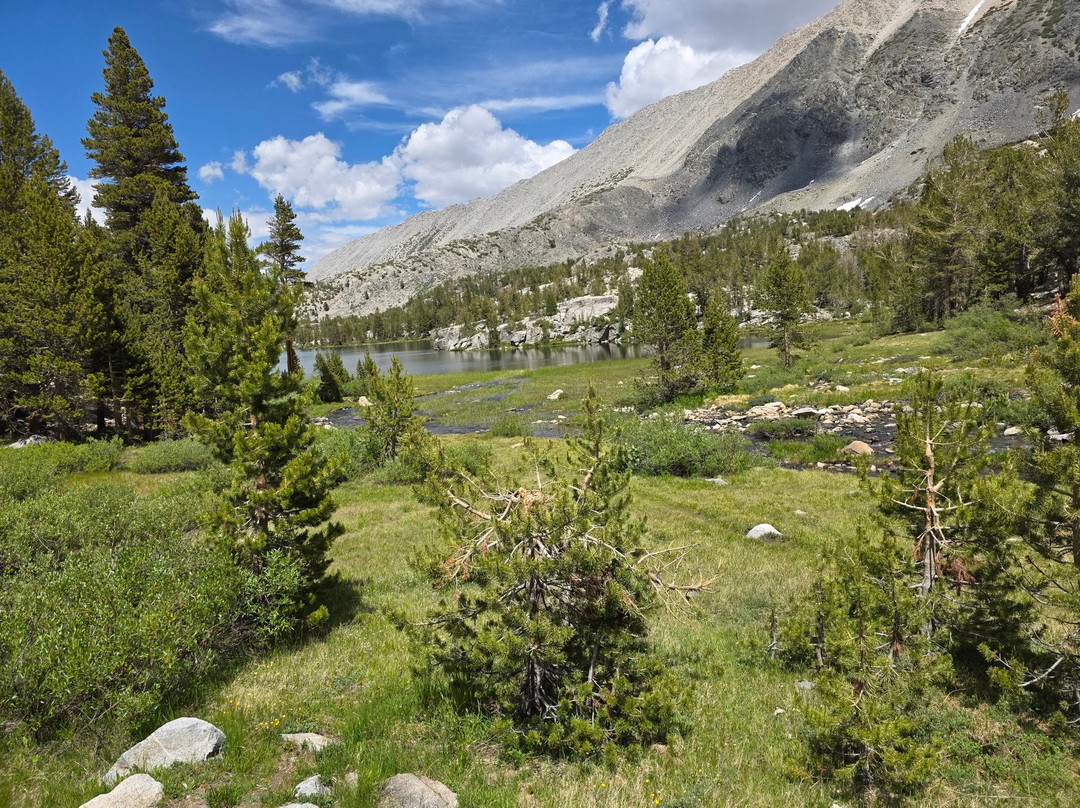 Rock Creek Pack Station-毕晓普必去景点