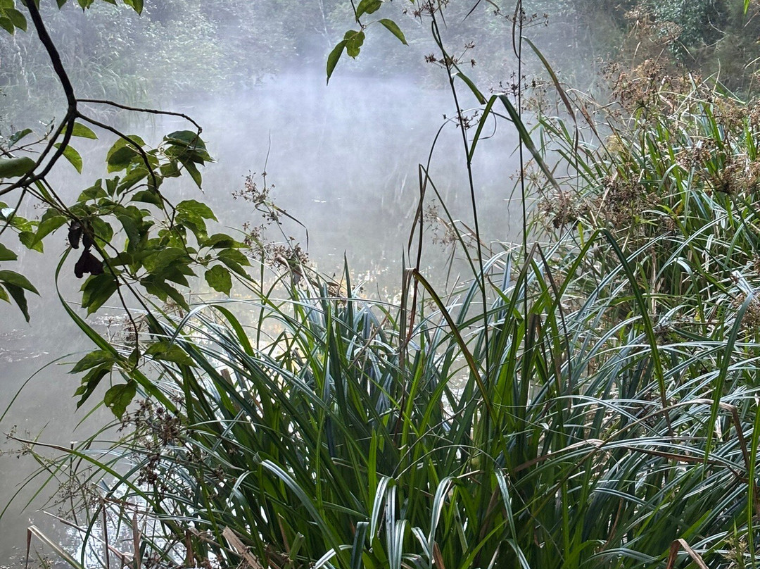 Eden House Retreat主图